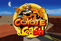 Apostas Futebol ao Vivo CaCobet